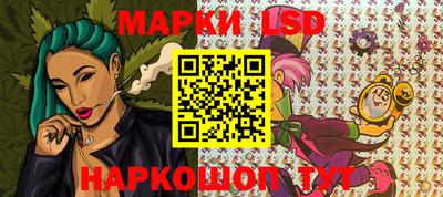 гидра Ставрополь