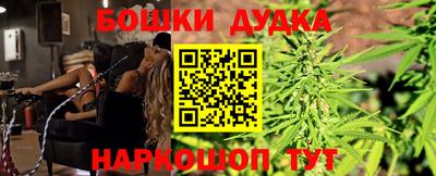 гидра Ставрополь