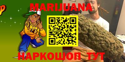 гидра Ставрополь