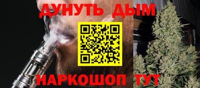 гидра Ставрополь