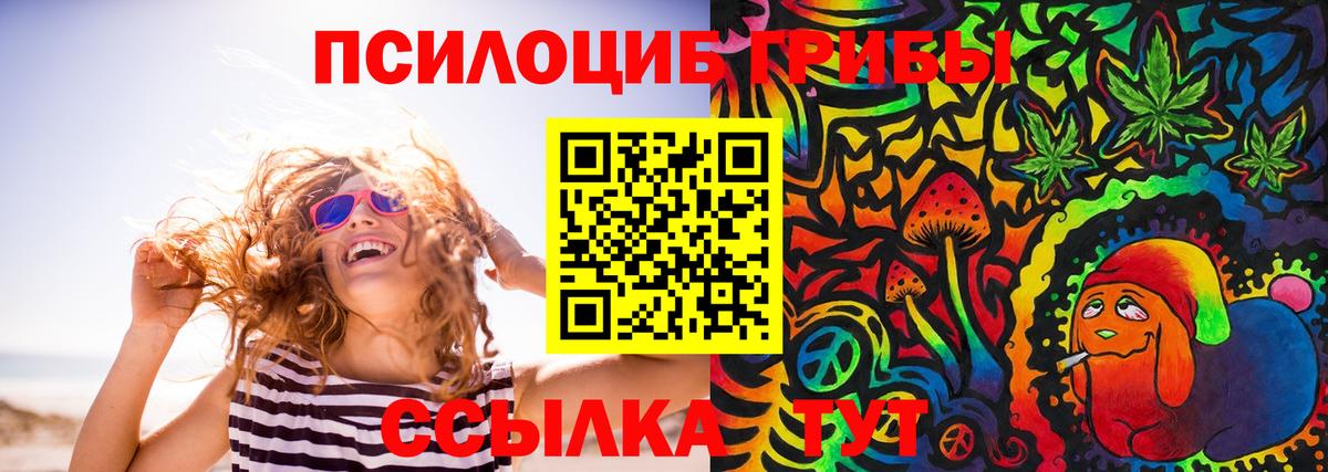 Псилоцибиновые грибы Psilocybine cubensis  Вход с VPN  Ноябрьск 
