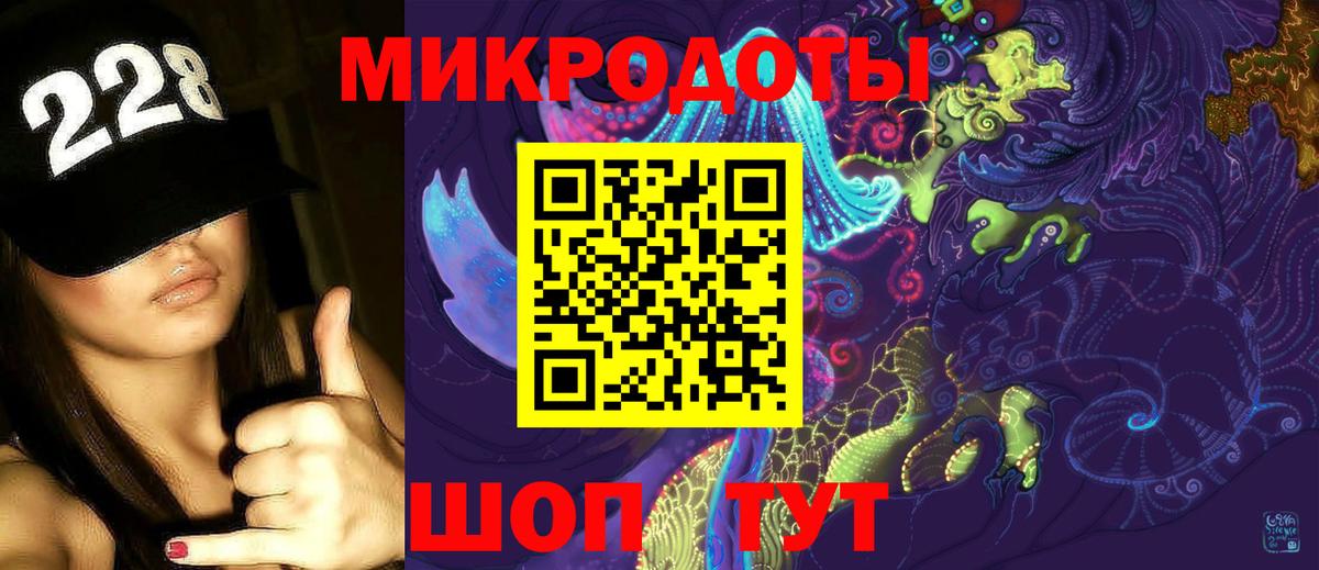 Псилоцибиновые грибы Psilocybe Ноябрьск